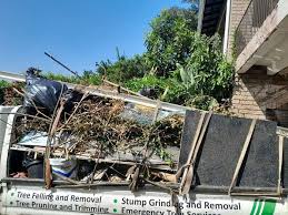 Best Construction Debris Removal  in Biltmore, TN